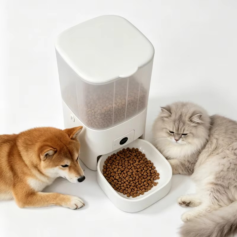 6L Otomatik Kedi Mama Kabı, Ka - Kitchen Appliances Video incelemesi ve fiyatı